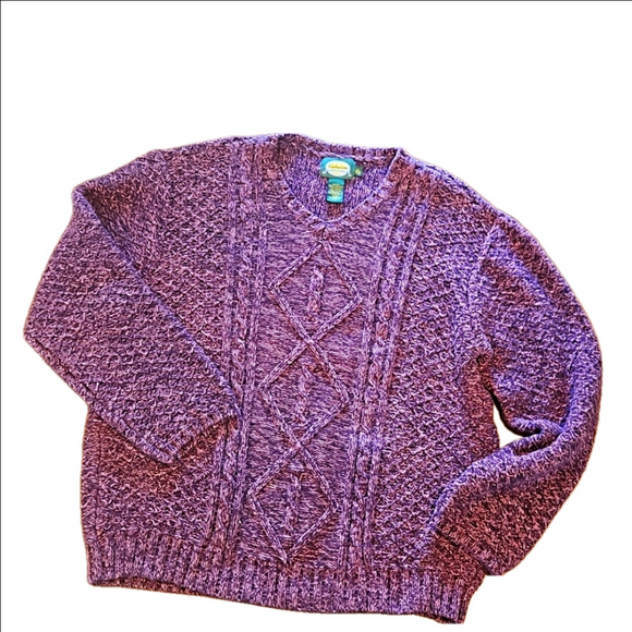 Cabela's Sweaters - CABELA'S WOMEN'S PURPLE CHUNKY CABLE KNIT V-NECK LONG SLEEVE SWEATER SIZE XL